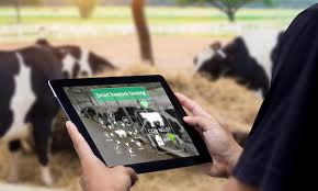 Livestock Monitoring